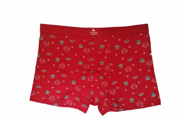 Boxer christmas present